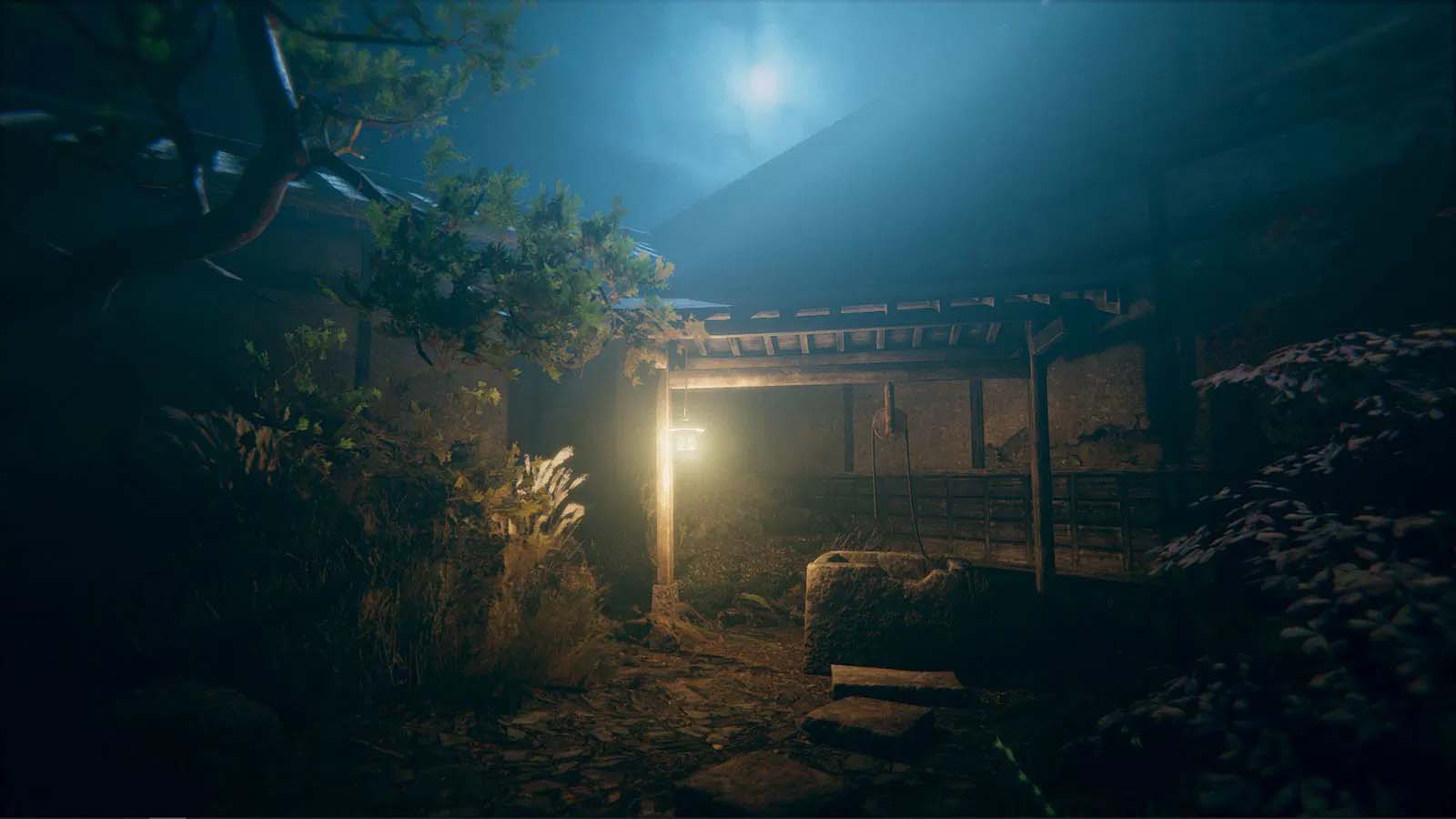 Nintendo Switch Hollow Cocoon Special Edition (ASI English/Chinese) - Image 2